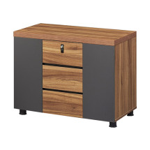 PT-BT510 보테가 로즈오크 사이드장