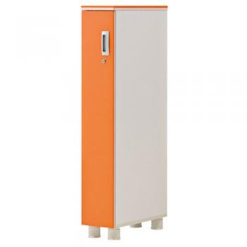 카멜레온 컬러 낮은옷장