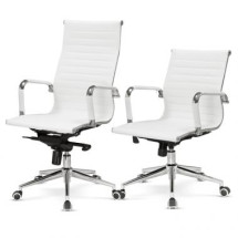 토닉 화이트화이트(大, 中)