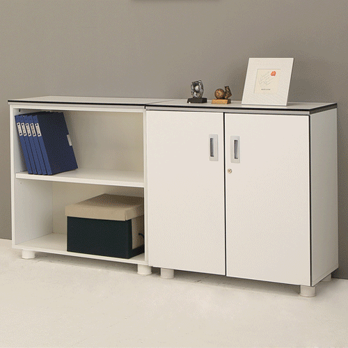 카멜레온 컬러 2단장식장