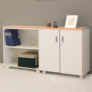 카멜레온 컬러 2단장식장