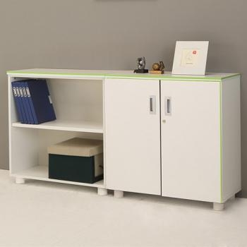 카멜레온 컬러 2단장식장