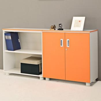 카멜레온 컬러 2단장식장