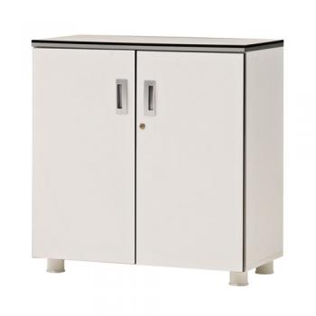 카멜레온 컬러 2단장식장