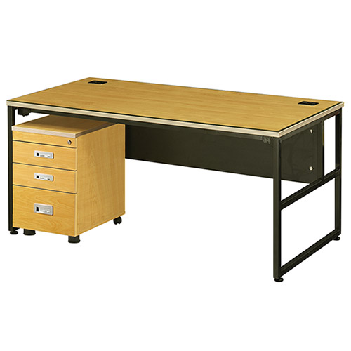 테라 망펄비치 팀장용책상 (투명유리/가림판포함)