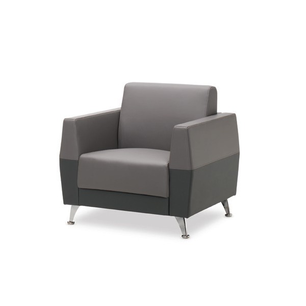 클로이사무용소파(레자)