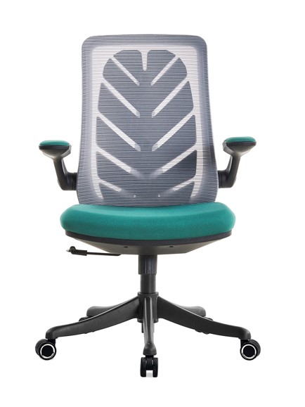 피코 메쉬 회의용의자