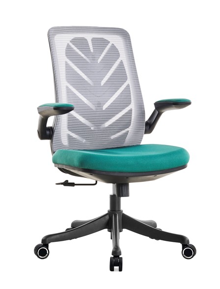 피코 메쉬 회의용의자