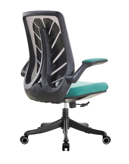 피코 메쉬 회의용의자