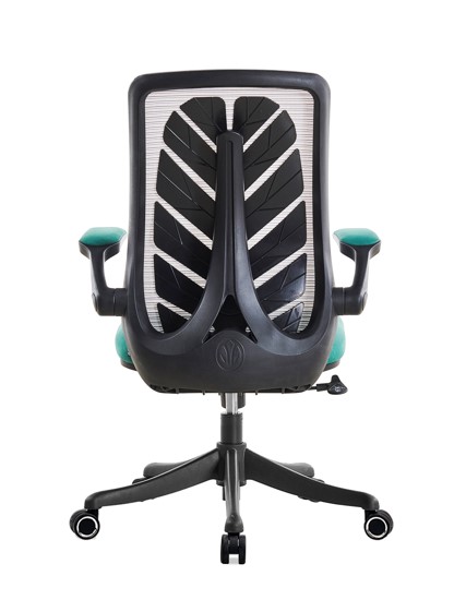 피코 메쉬 회의용의자