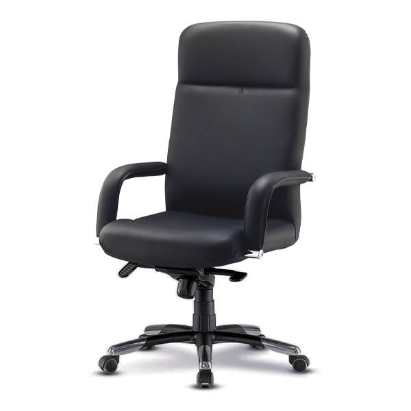 EZ- 뉴제논 중역용의자(대)/국산