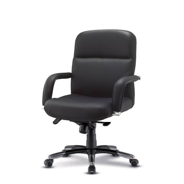 EZ- 뉴제논 중역용의자(대)/국산