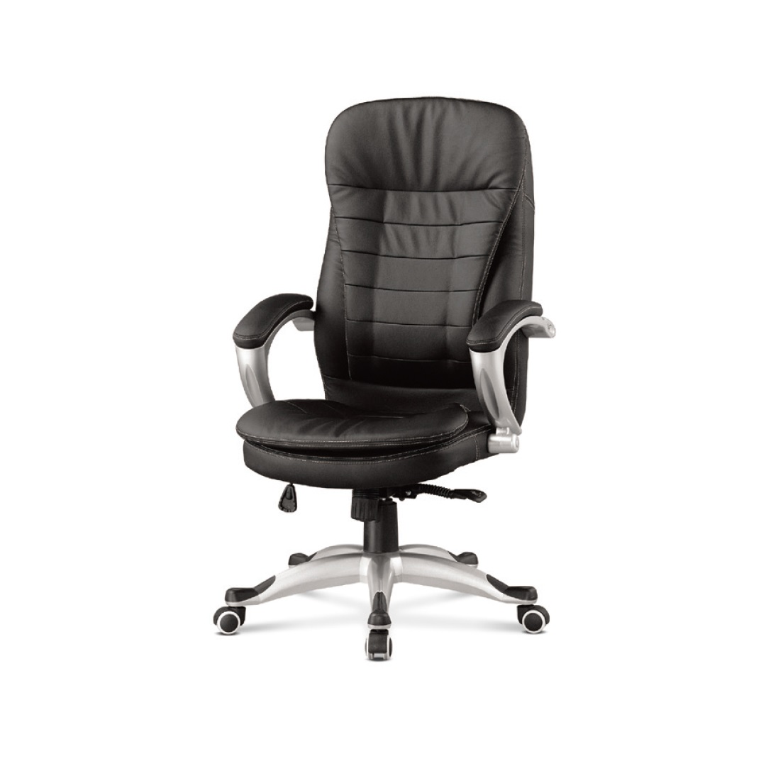 IN-5055 중역용의자