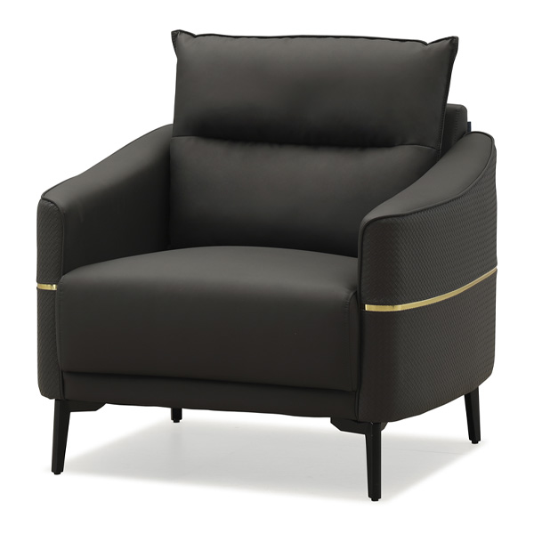 블랙 골드라인 소파