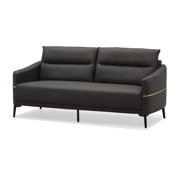 블랙 골드라인 소파